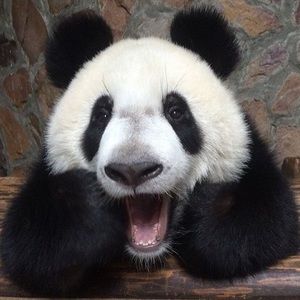 Meet your Posher, Mayra